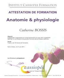 attestation de formation anatomie  et physiologie